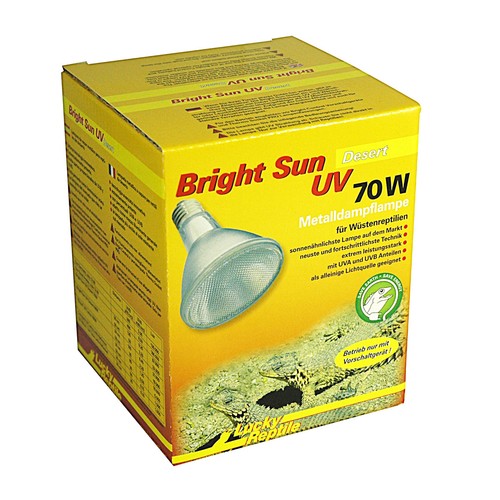 Lucky reptile bright sun - lucky,