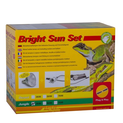 Lucky reptile bright - lucky, sun